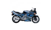 Carenagem Kawasaki ZZR600 1998-2003