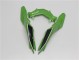 Abs Plásticos Kawasaki EX300 2013-2016 - Verde Preto Abs Plásticos Kawasaki EX300 2013-2016 - Verde Preto