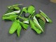 Carenagem Kawasaki EX250 2008-2012 - Verde Branco Preto Ninja