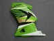 Carenagem Kawasaki EX250 2008-2012 - Verde Branco Preto Ninja
