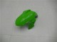 Carenagem Kawasaki EX300 2013-2016 - Verde Preto Prata