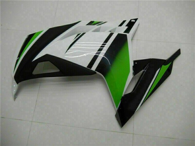 Carenagem Kawasaki EX300 2013-2016 - Verde Preto Prata