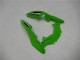Carenagem Kawasaki EX300 2013-2016 - Verde Preto Prata