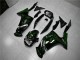 Carenagem Kawasaki EX650 2006-2008 - Verde Chama Carenagem Kawasaki EX650 2006-2008 - Verde Chama
