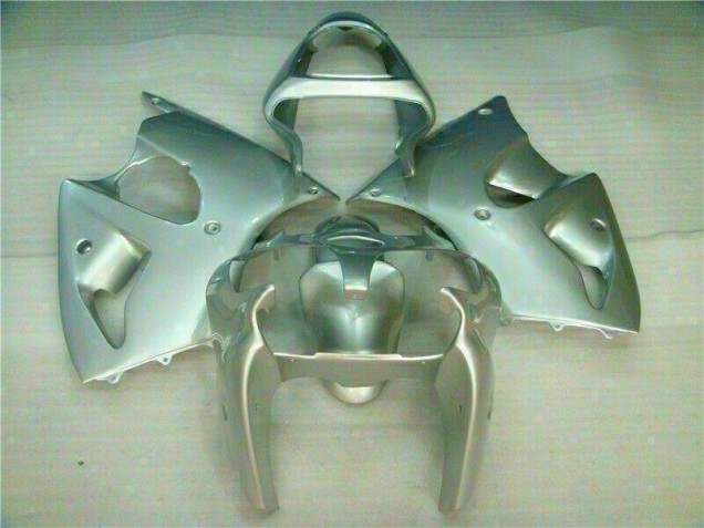 Carenagem Kawasaki ZX6R 2000-2002 - Prata