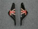 Carenagem Kawasaki ZX6R 2000-2002 - Preto Branco Eurobet