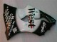 Carenagem Kawasaki ZX6R 2003-2004 - Preto West Ninja Carenagem Kawasaki ZX6R 2003-2004 - Preto West Ninja