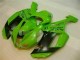 Carenagem Kawasaki ZX6R 2007-2008 - Verde Preto Dunlop Carenagem Kawasaki ZX6R 2007-2008 - Verde Preto Dunlop