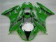 Carenagem Kawasaki ZX6R 2009-2012 - Verde Preto LeoVince Carenagem Kawasaki ZX6R 2009-2012 - Verde Preto LeoVince