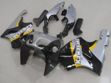 Carenagem Kawasaki ZX9R 2000-2001 - Prata & Preto