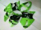 Injeção Kit Carenagem Kawasaki ZX6R 2000-2002 - Verde Preto Injeção Kit Carenagem Kawasaki ZX6R 2000-2002 - Verde Preto