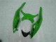 Injeção Kit Carenagem Kawasaki ZX6R 2009-2012 - Preto Verde
