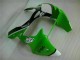 Injeção Kits Carenagem Kawasaki ZX6R 2000-2002 - Verde Preto Injeção Kits Carenagem Kawasaki ZX6R 2000-2002 - Verde Preto