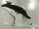 Kit Carenagem Yamaha R6 2008-2016 - Branco Kit Carenagem Yamaha R6 2008-2016 - Branco