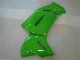 Kits Carenagem Kawasaki EX650 2009-2011 - Verde