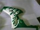 Carenagens Moto Honda CBR1000RR 2006-2007 - Branco Verde Chama
