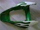 Carenagens Moto Honda CBR1000RR 2006-2007 - Branco Verde Chama