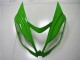 Carenagens Moto Kawasaki ZX6R 2013-2018 - Verde Branco Preto Brilhante