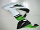 Carenagens Moto Kawasaki ZX6R 2013-2018 - Verde Branco Preto Brilhante