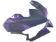 Carenagens Moto Kawasaki Ninja 500 EX500R 2024-2025 - Camaleão Cinzento Dazz Roxo Pérola