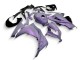 Carenagens Moto Kawasaki EX300 2013-2024 - Camaleão Cinzento Dazz Roxo Pérola