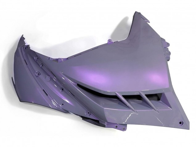 Carenagens Moto Kawasaki EX300 2013-2024 - Camaleão Cinzento Dazz Roxo Pérola
