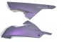 Carenagens Moto Kawasaki EX300 2013-2024 - Camaleão Cinzento Dazz Roxo Pérola