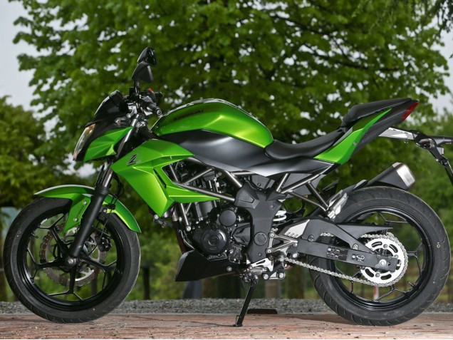 Carenagens Moto Kawasaki Z250/Z300 2015-2016 - Verde Preto Fosco