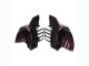 Carenagens Moto Kawasaki GTR1400/ZG1400 2007-2009 - Vermelho Castanho Preto