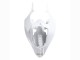 Carenagens Moto Yamaha YZF 1000 R1 2004-2006 - Branco Ouro Decalques