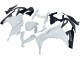 Carenagens Moto Kawasaki EX300 2013-2024 - Branco Preto