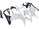 Carenagens Moto Kawasaki EX300 2013-2024 - Branco Preto