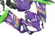 Carenagens Moto Aprilia RS125 2006-2011 - Roxo Verde Vermelho