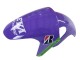 Carenagens Moto Aprilia RS125 2006-2011 - Roxo Verde Vermelho