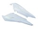 Carenagens Moto Aprilia RS125 2006-2011 - Sem Pintura