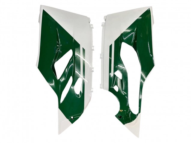 Carenagens Moto Ducati 1299 2015-2020 - Branco Vermelho Verde Preto Fosco