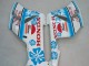 Carenagens Moto Honda CBR1000RR 2004-2005 - Branco Azul Neve Nastro Azzurro 46