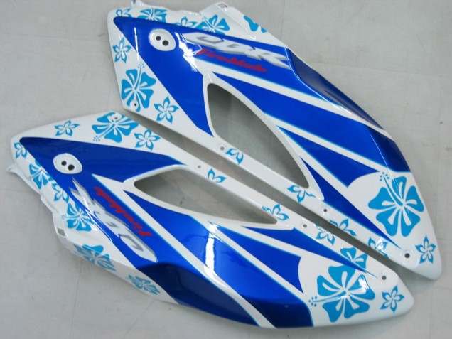 Carenagens Moto Honda CBR1000RR 2004-2005 - Branco Azul Neve Nastro Azzurro 46