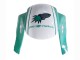 Carenagens Moto Honda CBR600RR 2005-2006 - Verde Claro Branco Preto Brilhante Joe Rocket