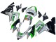Carenagens Moto Kawasaki ZX10R 2004-2005 - Verde Prata Preto 69