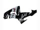 Carenagens Moto Kawasaki ZX10R 2006-2007 - Preto Brilhante Branco West