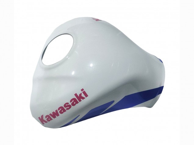 Carenagens Moto Kawasaki ZX10R 2021-2025 - Branco Verde Azul Preto