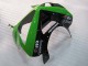Carenagens Moto Kawasaki ZX6R 2003-2004 - Verde Preto Elf Bridgestone
