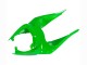 Carenagens Moto Kawasaki ZX6R 2009-2012 - Verde Preto Brilhante