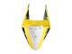 Carenagens Moto Yamaha YZF R3/R25 2019-2021 - Amarelo Branco Preto Listra