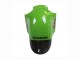 Carenagem Moto Kawasaki ZX12R 2002-2006 - Verde Preto Brilhante Elf Touch4 Monstro