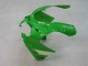 Carenagens Moto Kawasaki ZX9R 2000-2001 - Verde Prata Preto