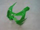 Carenagens Moto Kawasaki ZX9R 2000-2001 - Verde Prata Preto