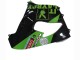 Carenagens Moto Kawasaki ZX9R 2000-2001 - Verde Preto Playboy DENSO