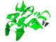 Carenagens Moto Kawasaki ZX9R 2000-2001 - Verde